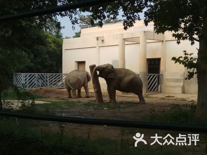北京动物园图片 - 第11张