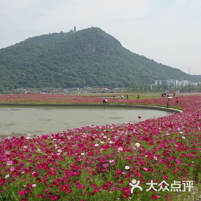 湘湖花海