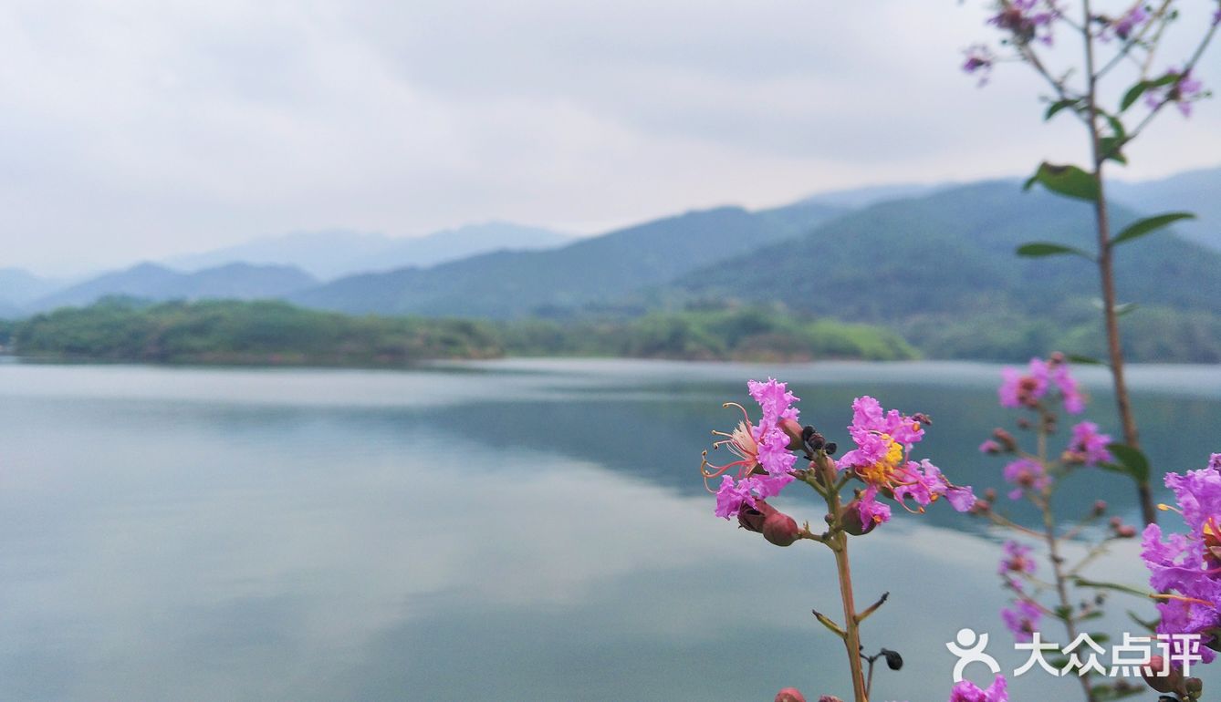 迎风湖湿地公园 吃喝玩乐精选