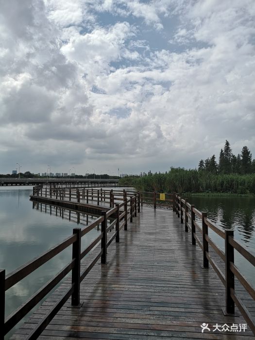 虎丘湿地公园图片 - 第2张