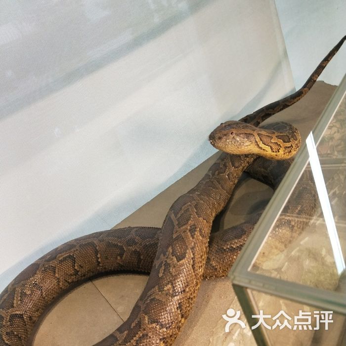 上海自然博物馆