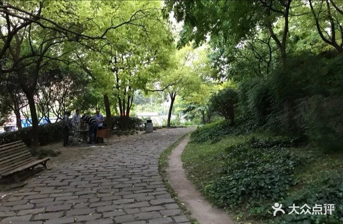 真光公园图片 - 第3张