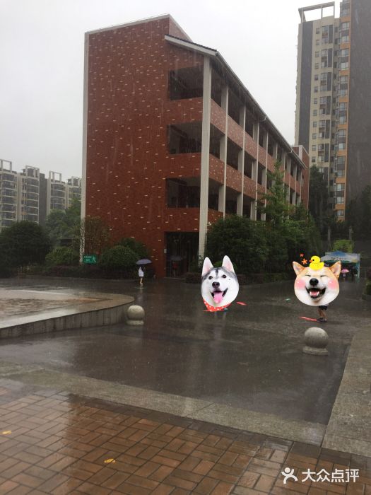 博才白鹤小学图片