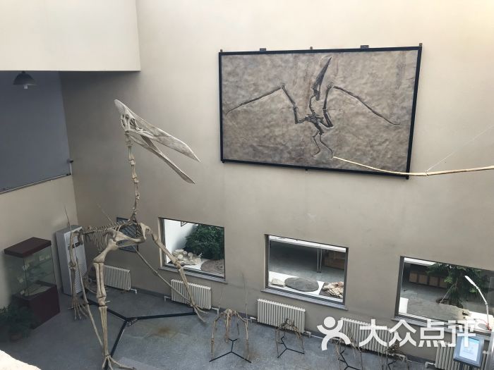 中德古生物博物馆-图片-义县周边游-大众点评网