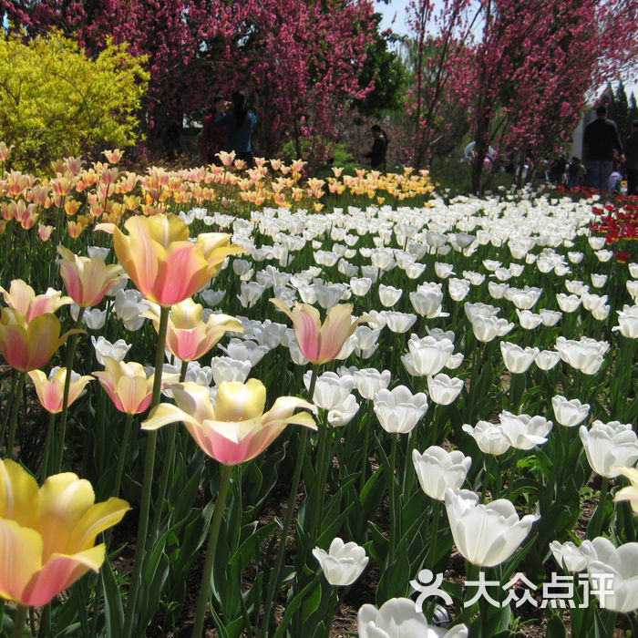 北京植物园
