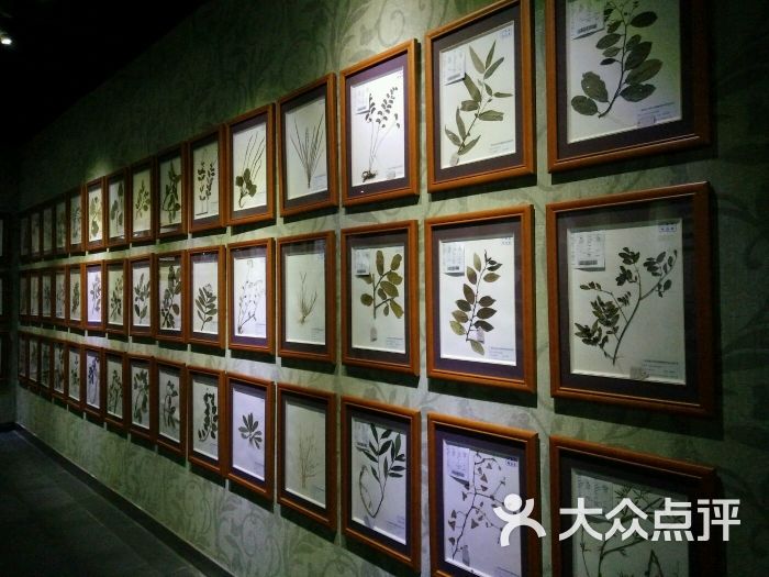 广东中医药博物馆-图片-广州周边游
