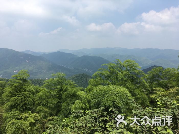 莫干山风景区图片 - 第3291张