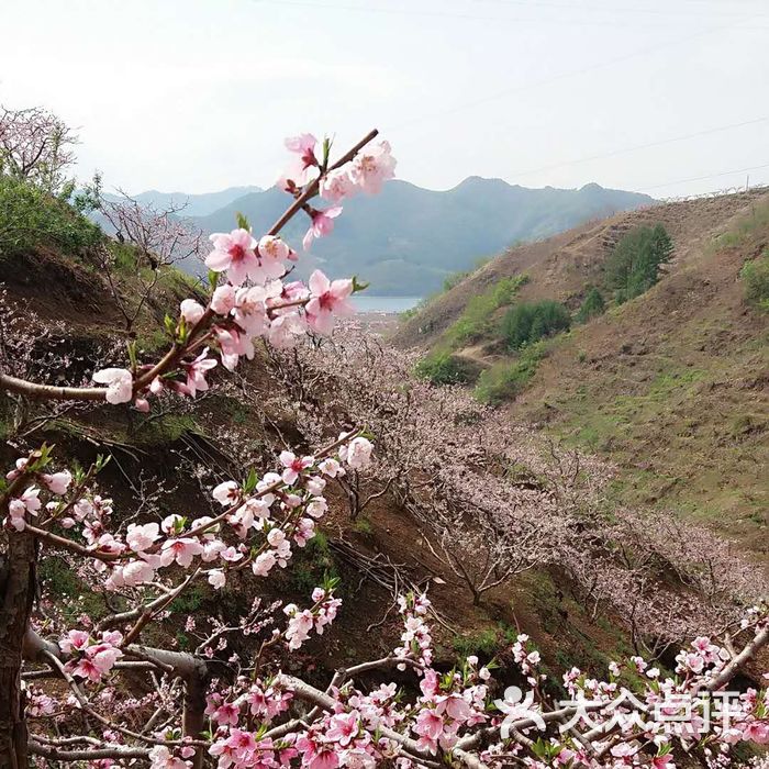 丹东河口桃花岛