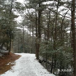 飞流直下三千尺以诗句为谜面各猜一成语(2)