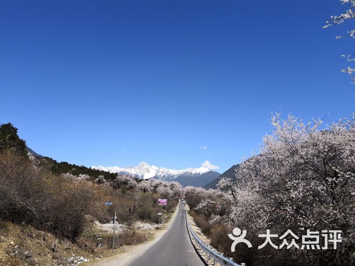 桃花沟风景区图片 - 第6张