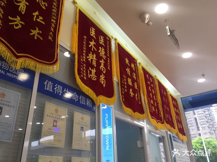 芭比堂动物医院(24小时达壹贝分院-锦旗图片-北京宠物-大众点评网