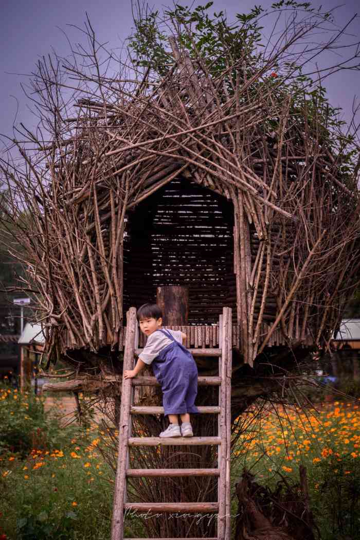 "紫蓬山风之谷确实很美,适合家人一起休闲玩."-自然