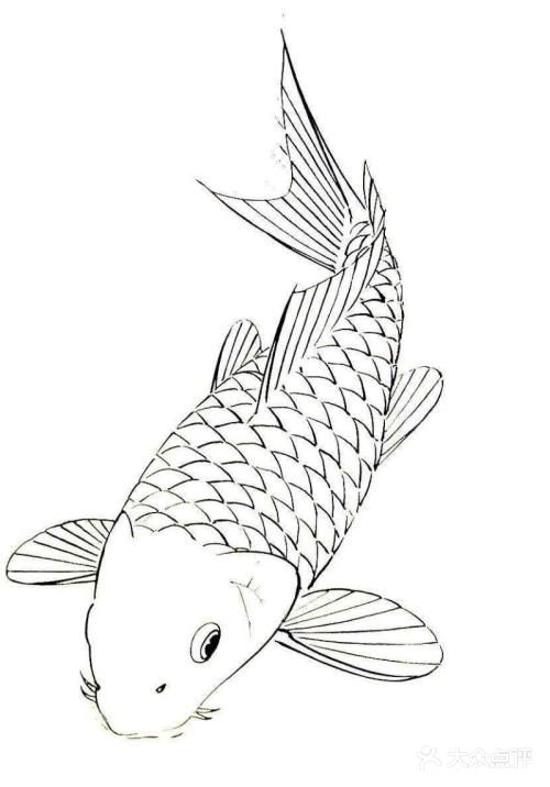 简单白描画图片大全[糖果][糖果]