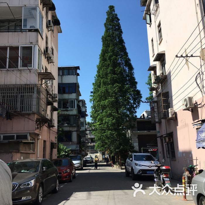 曹杨三村