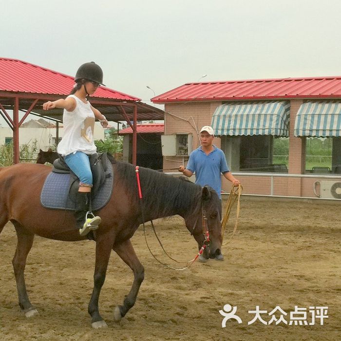 全进马术俱乐部场馆图片-北京马术场-大众点评网