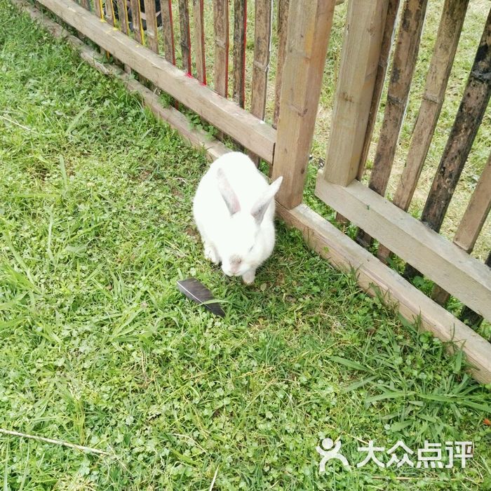 长沙百果园农庄