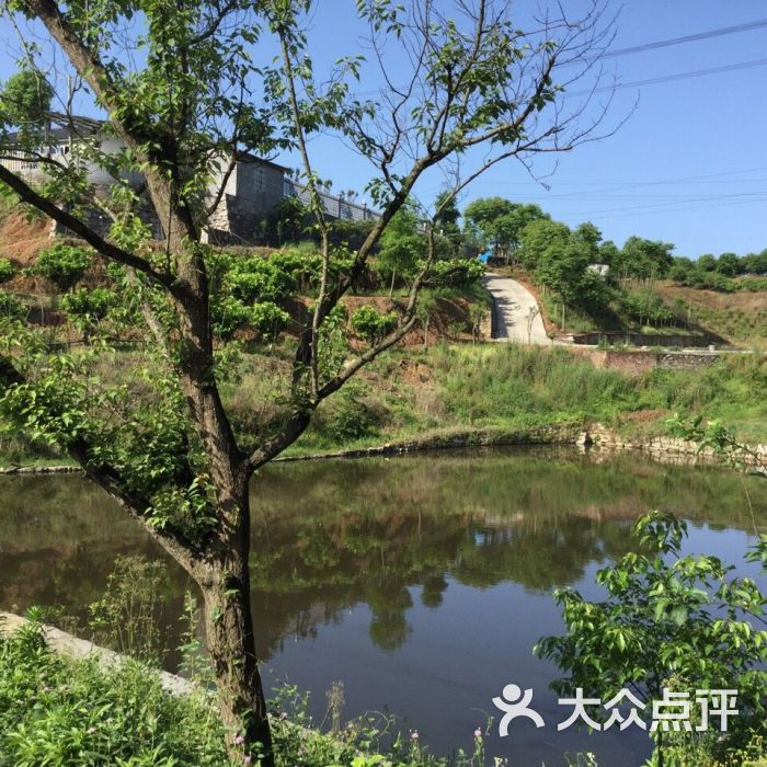 垂钓鱼塘