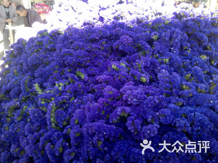斗南花卉市场-干花图片-昆明购物