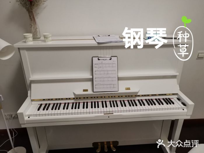 mood music成人钢琴连锁(奥体店)图片