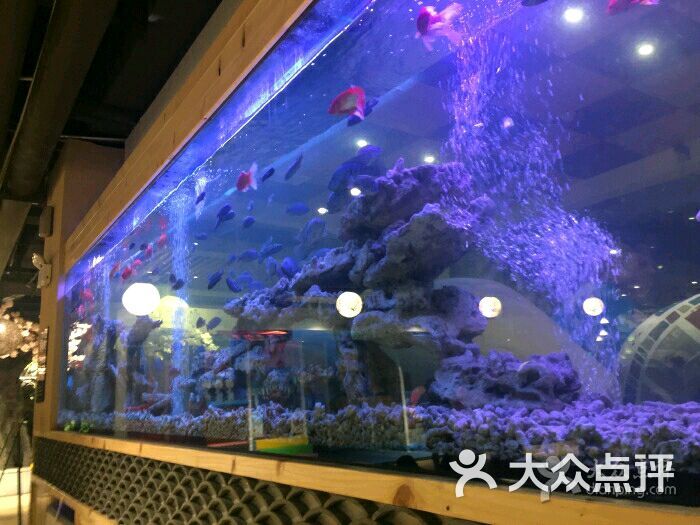 水尚汇汤泉图片 - 第37张