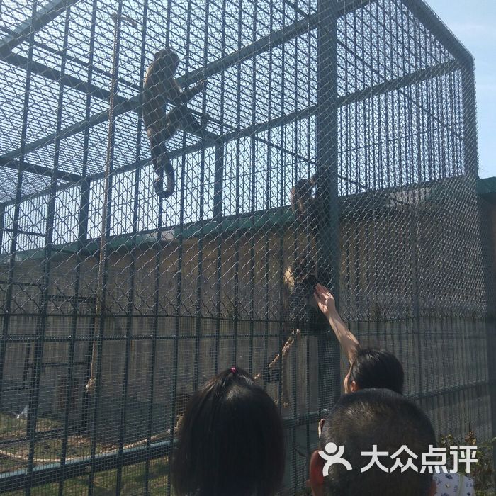 台州湾野生动物园