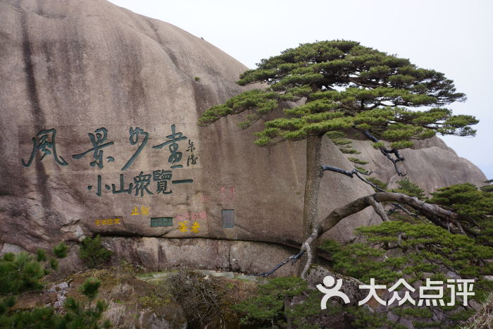 黄山玉屏楼宾馆迎客松图片 - 第7张