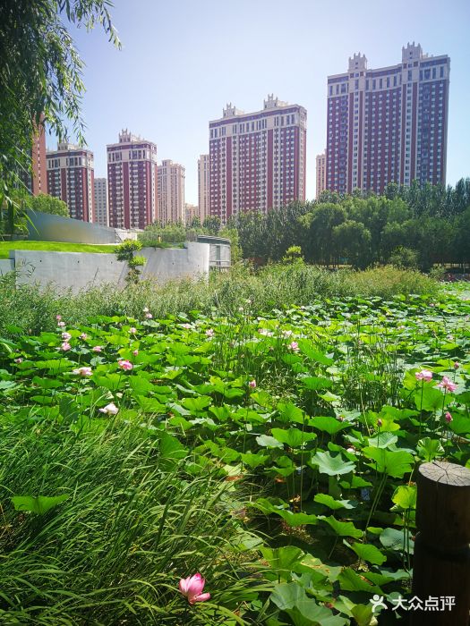 雨阳公园-图片-哈尔滨周边游-大众点评网