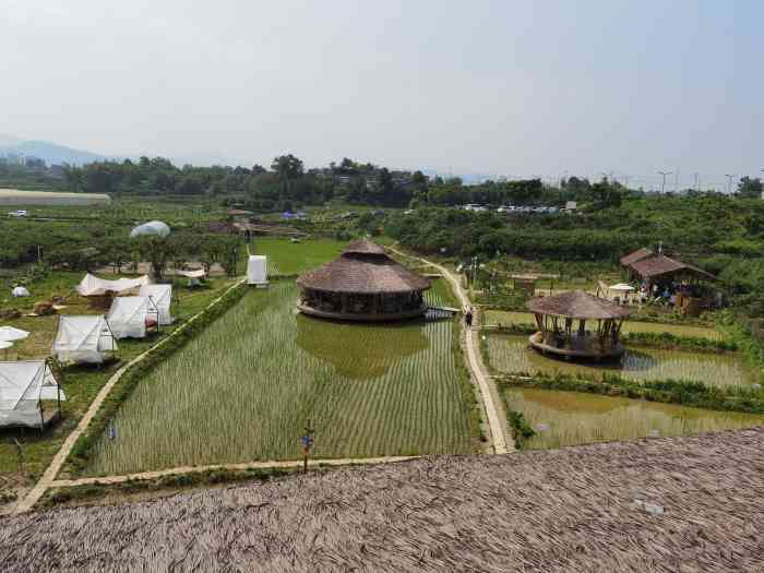 小草垛田野农场-""所谓的那快乐 赤脚在田里追蜻蜓累.