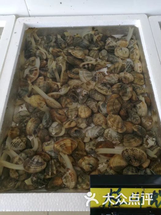 岛上人家平价海鲜餐厅桂山蚬图片 - 第24张