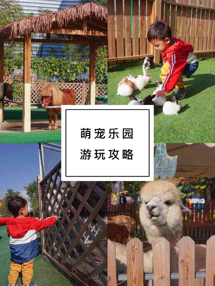 万达广场亲子动物乐园(槐房万达店)