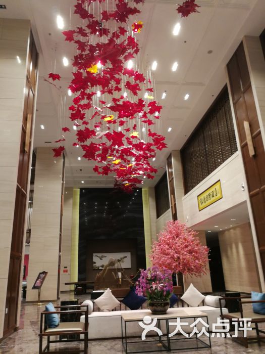 银亿国际酒店-图片-本溪美食-大众点评网