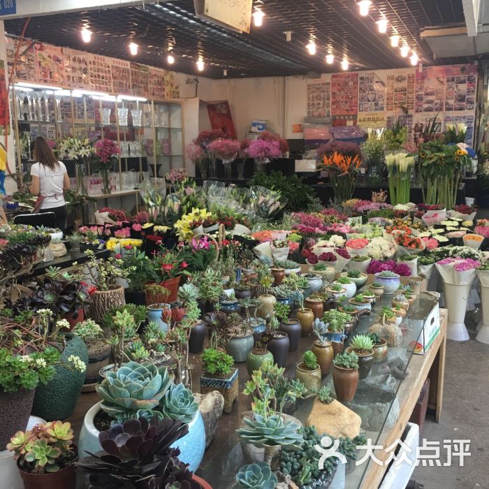 双季花艺园艺市场(浦东花鸟市场店)图片 - 第261张