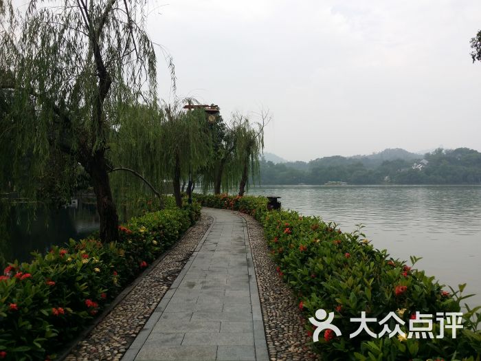 迎仙桥-景点图片-惠州周边游-大众点评网