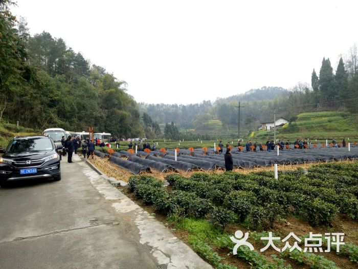 宜昌市夷陵区太平溪憩园农庄图片 - 第25张