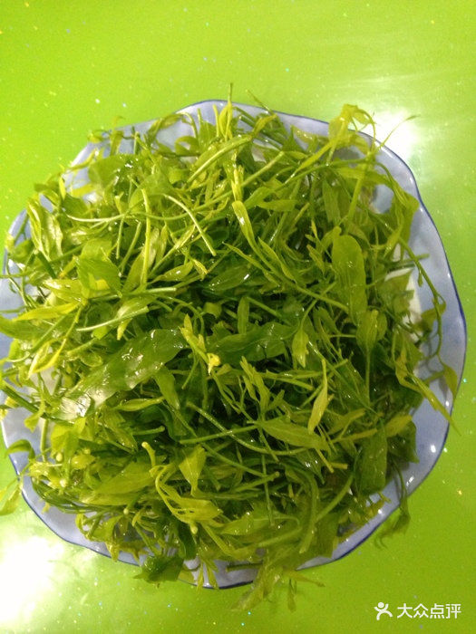 新平腌菜饭店野生甜菜图片 - 第33张