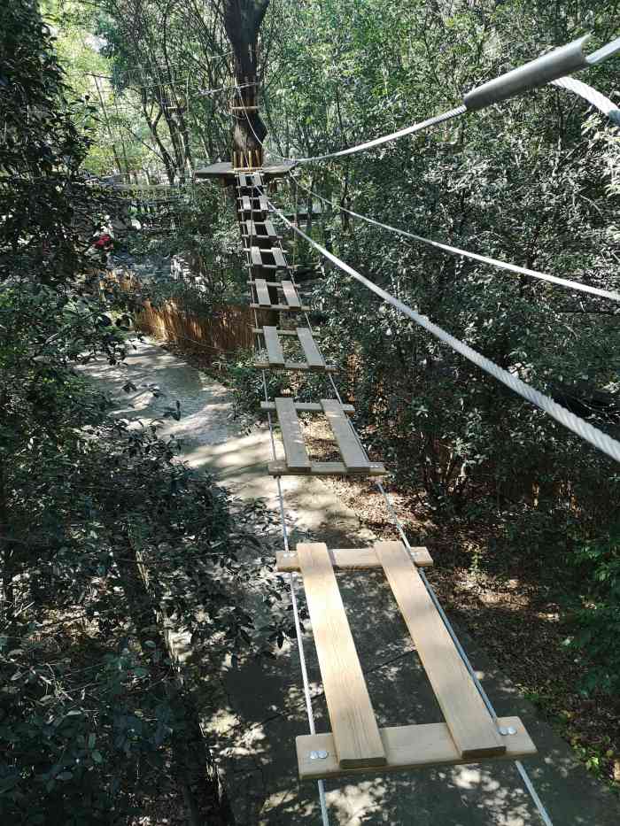 紫金山探险公园-"和朋友趁着节假日有空去的,本以为会有很多.