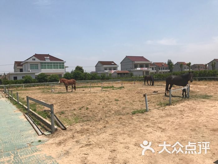 江天生态园图片 第4张