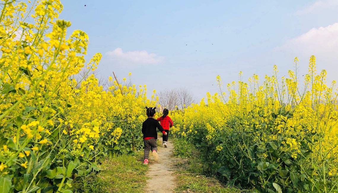 四处都是春天的味道,肯定要把春天吃到嘴里
