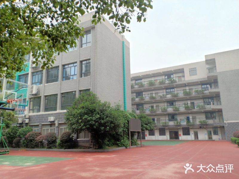 武汉市育才第二小学(花桥校区)图片