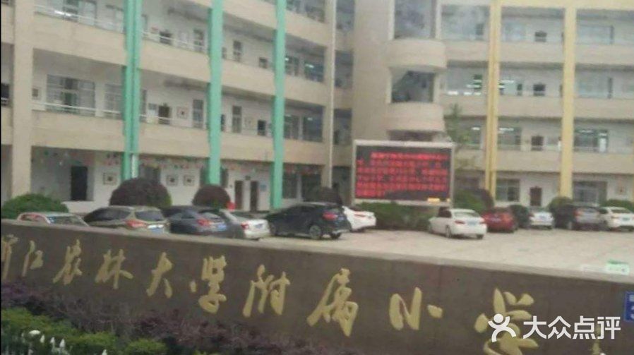 浙江农林大学附属小学图片