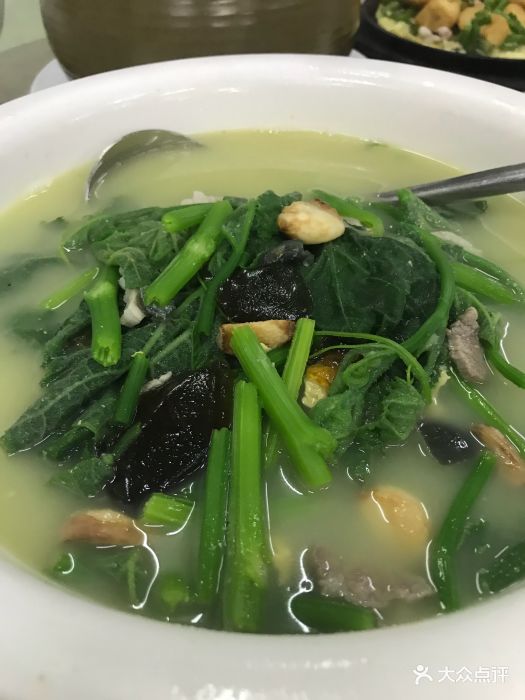东升木棉之家上汤南瓜苗图片 - 第27张