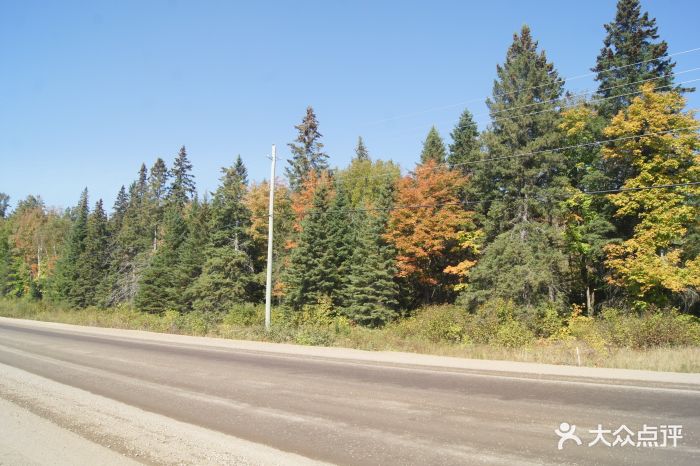 跟着UTStGeorge的中国留学生协会去的,还有