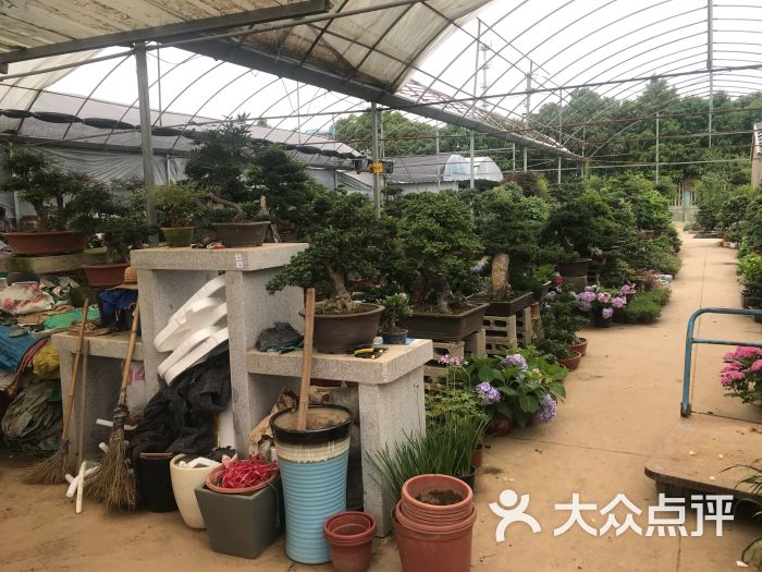 藏书花木a区-图片-苏州购物-大众点评网