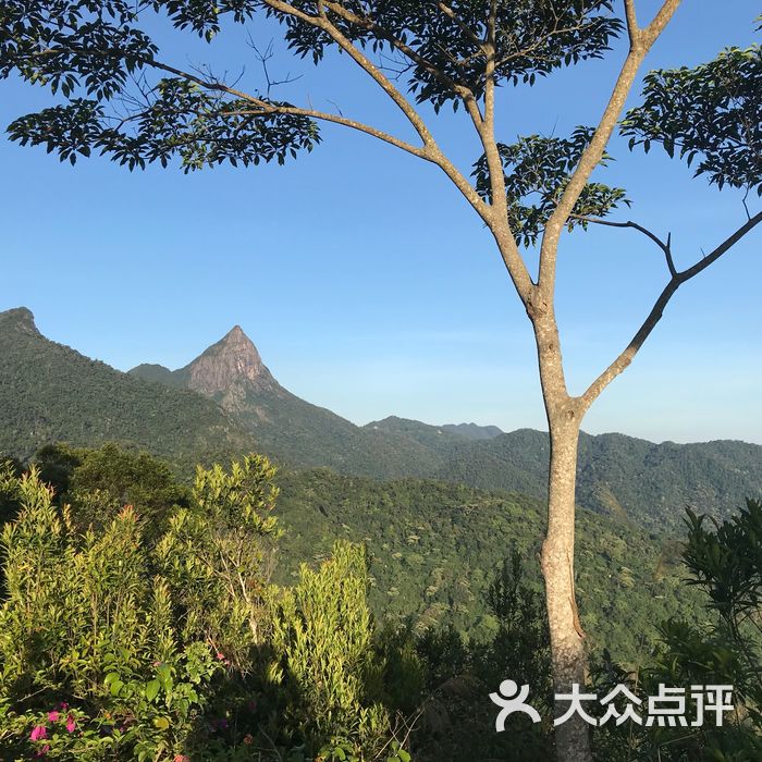 尖峰岭国家森林公园