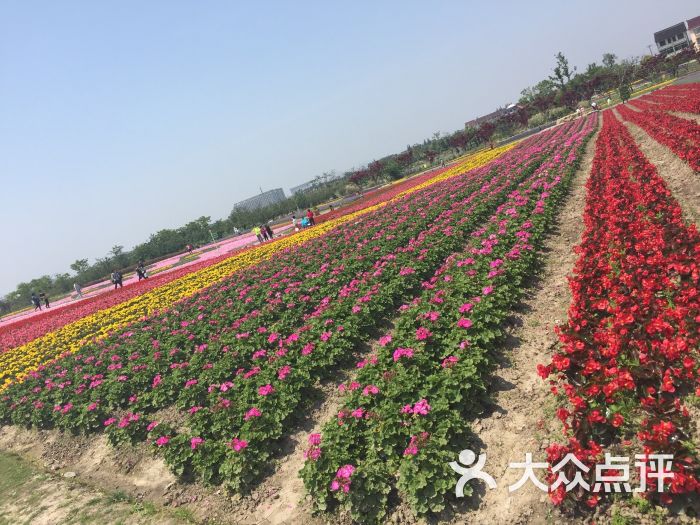 周浦花海怎么样,好不好的默认点评(第3页-上海-大众点评网