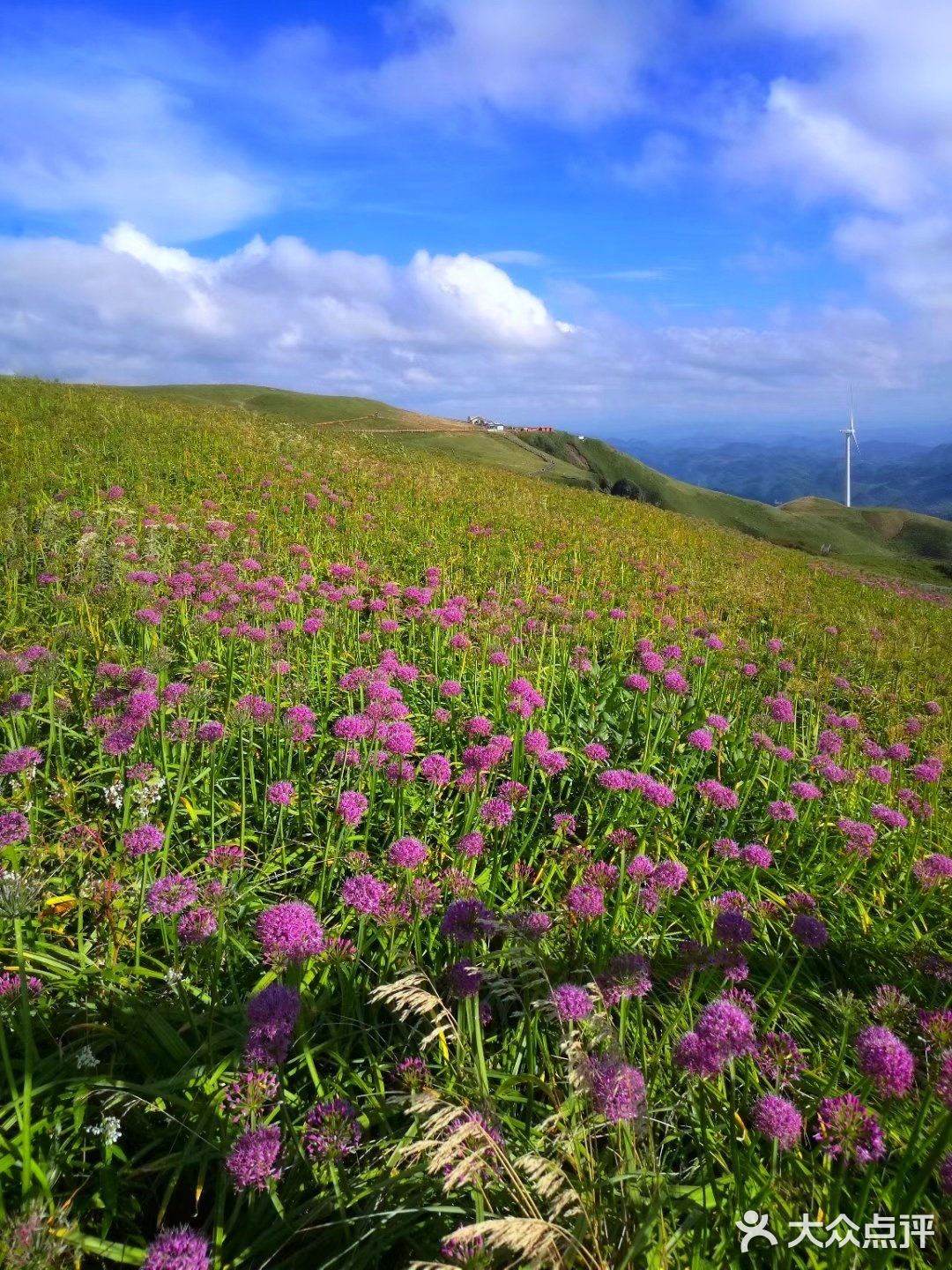 《阿西里西 韭菜坪景区》