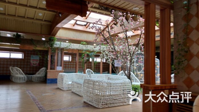 温泉印象体验馆图片 - 第2张