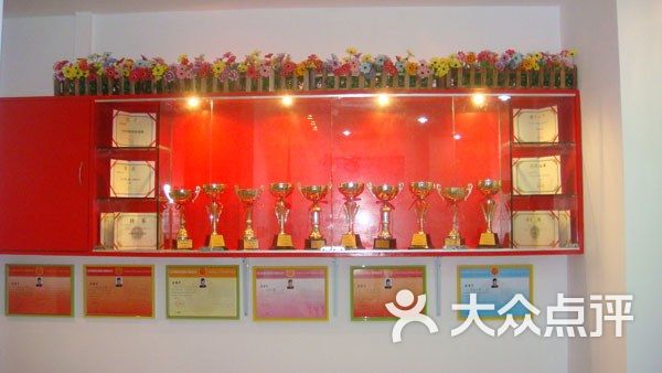 爱华舞蹈培训-奖杯与证书图片-北京丽人