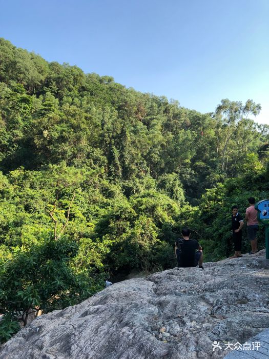 大岭山森林公园图片 - 第4张