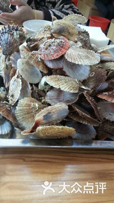 胶东菜小海鲜_胶东海鲜汆蛋_胶东海鲜安定门(3)